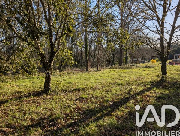 Terrain à vendre 3 153 m² Caubeyres