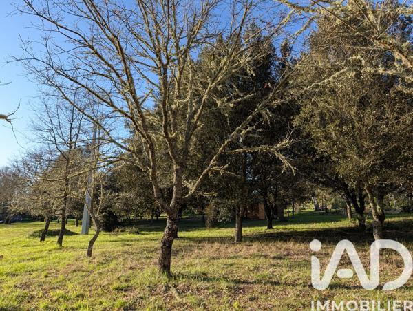 Terrain à vendre 3 153 m² Caubeyres