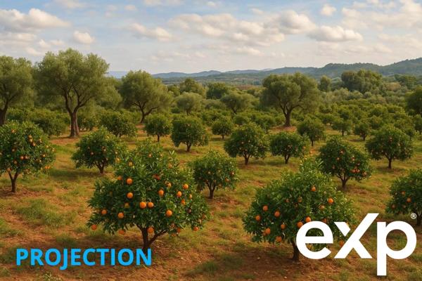 1.bail commercial+ 1 maisons – ENTREPOT SUR 2 niveaux Production d’agrumes – Fort rendement