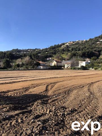 1.bail commercial+ 1 maisons – ENTREPOT SUR 2 niveaux Production d’agrumes – Fort rendement