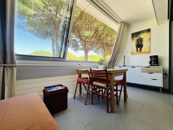 Studio Terrasse Centre Ville