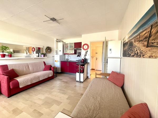 Studio Terrasse Centre Ville