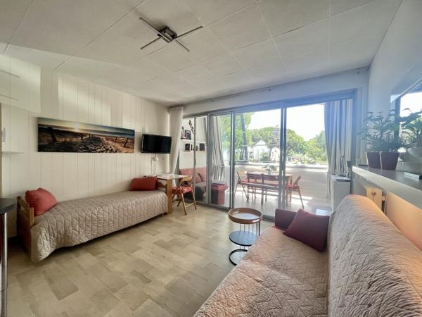 Studio Terrasse Centre Ville