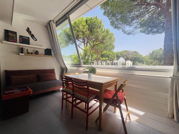 Studio Terrasse Centre Ville