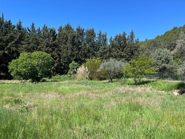 Maison 3 pièces - Montfort Sur Argens