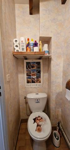 Proche côte sauvage