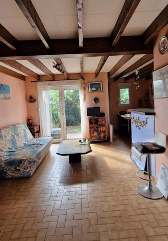 Proche côte sauvage