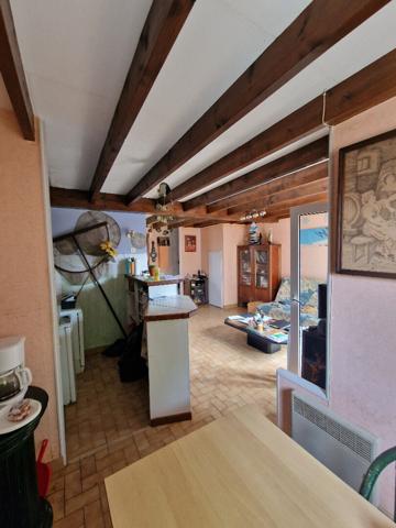 Proche côte sauvage