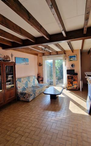 Proche côte sauvage