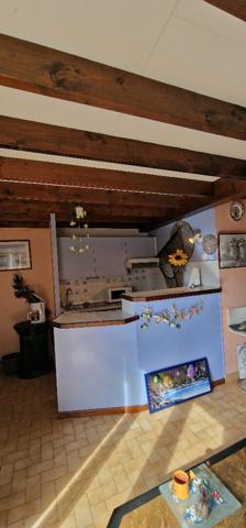 Proche côte sauvage