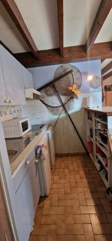 Proche côte sauvage