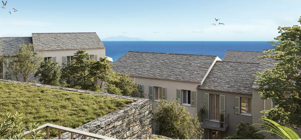 Erbalunga (20222) T3 erbalunga