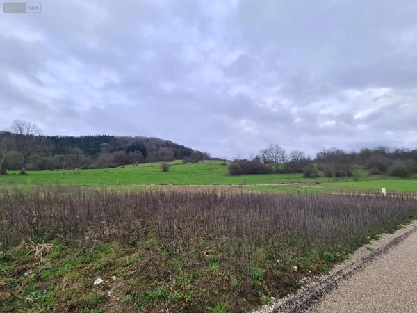 Achat - Terrain à bâtir Cléron 25330 736 m 2