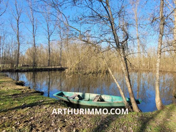 Vente Terrain 4345 m2 à Saint-Hilaire-la-Palud