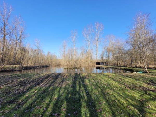 Vente Terrain 4345 m2 à Saint-Hilaire-la-Palud