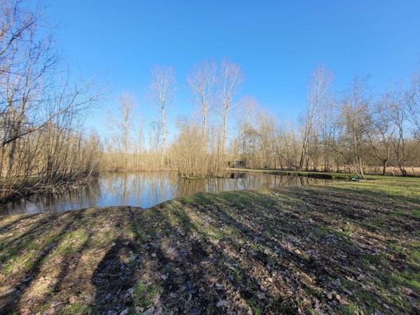 Vente Terrain 4345 m2 à Saint-Hilaire-la-Palud