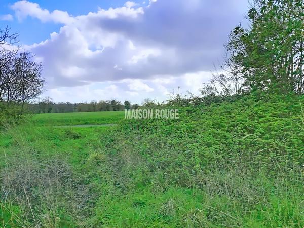 RARE À LA VENTE TERRAIN AU CALME À COMBOURG hors lotissement