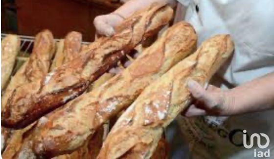 Boulangerie à vendre 600 m² Soisy-sur-Seine