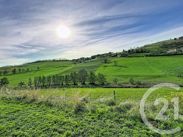 Maison à vendre  10 pièces - 296,06 m2 YSSINGEAUX - 43