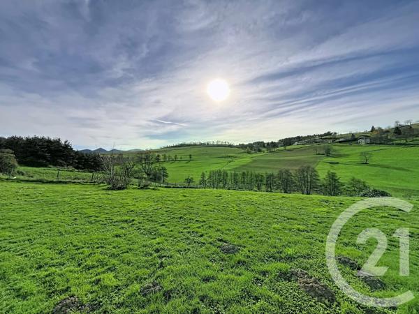 Maison à vendre  10 pièces - 296,06 m2 YSSINGEAUX - 43