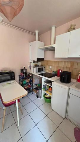 Location - Appartement Louhans-Châteaurenaud 71500 1 pièce 45 m 2