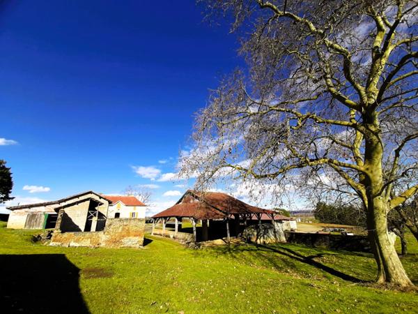 Ancienne ferme de 1796 sur 4,7 Hectares, dépendances, vue sur les Pyrénées.
