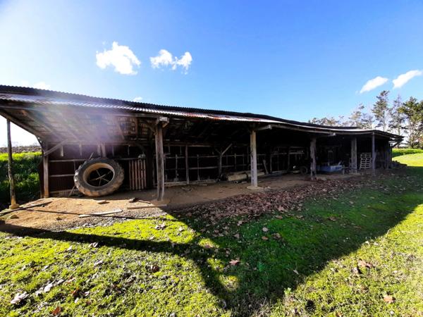 Ancienne ferme de 1796 sur 4,7 Hectares, dépendances, vue sur les Pyrénées.