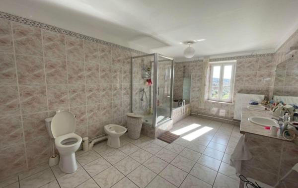 Vente Maison Avec cour - terrasse et appartement rénové(e) Homps   