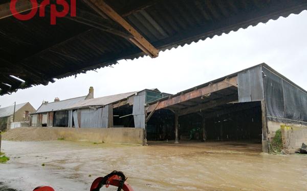 Maison à vendre    7 pièces •  Monnaie