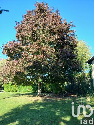 Maison à vendre 8 pièces 212 m² Macey