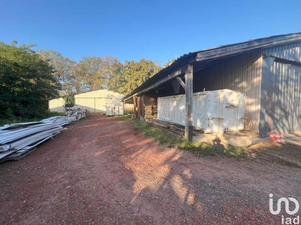 Local d’activité à vendre 700 m² Mont-de-Marsan