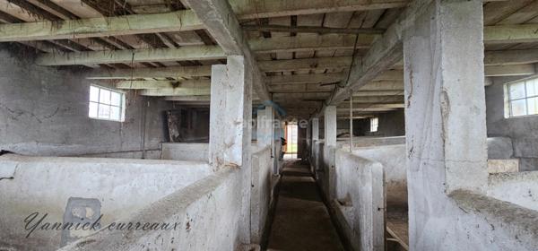 Ancienne ferme à rénover sur près de 6000 m² de terrain – sans vis-à-vis