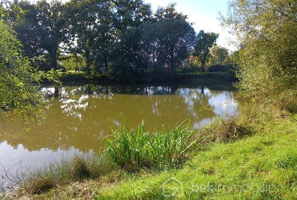 Terrain de 5 361 m²