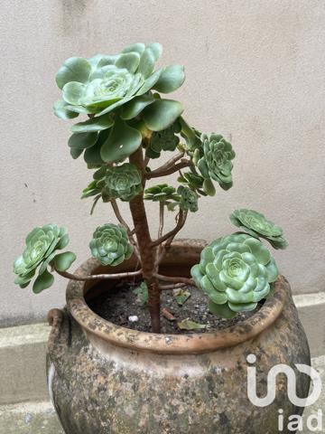 Terrain à vendre 1 036 m² Saint-Sigismond