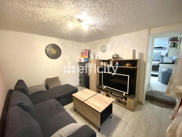 Appartement 3 pièces - 49 m² Exclusivité efficity