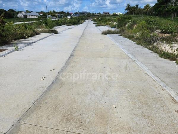 Terrain à vendre dans lotissement neuf à Petit-Canal Guadeloupe