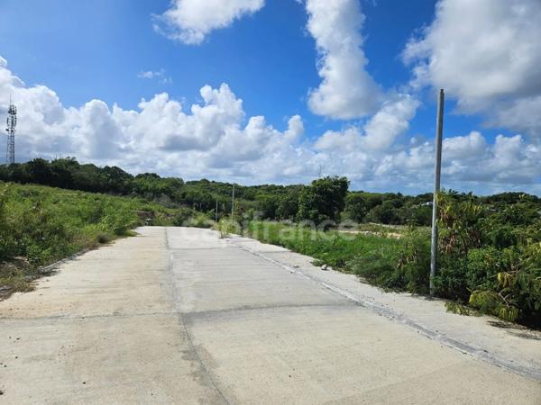 Terrain à vendre dans lotissement neuf à Petit-Canal Guadeloupe