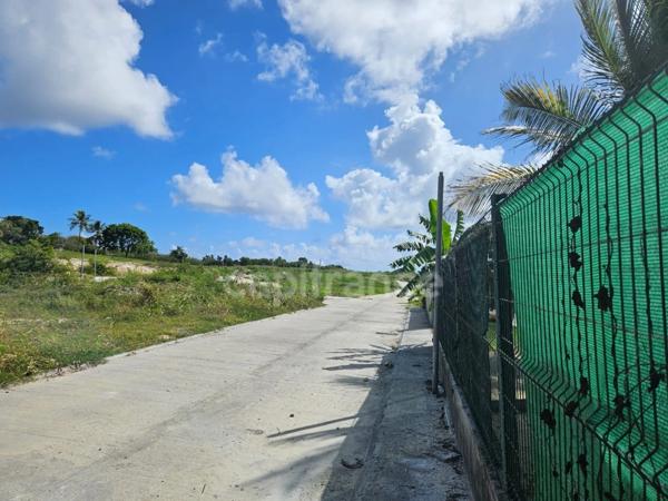 Terrain à vendre dans lotissement neuf à Petit-Canal Guadeloupe