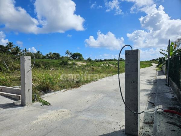 Terrain à vendre dans lotissement neuf à Petit-Canal Guadeloupe