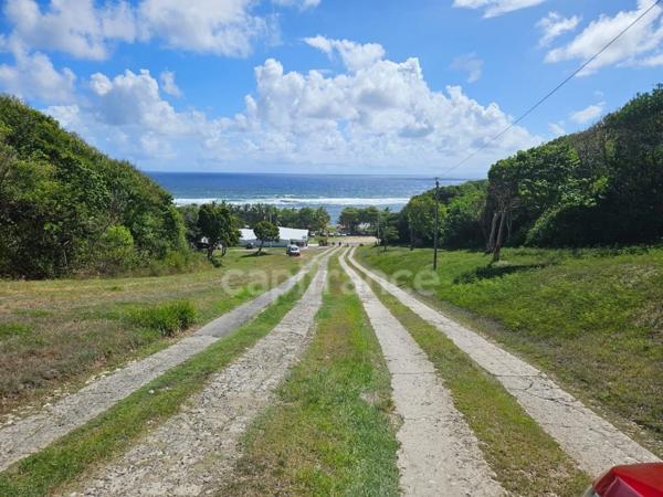 Terrain à vendre dans lotissement neuf à Petit-Canal Guadeloupe