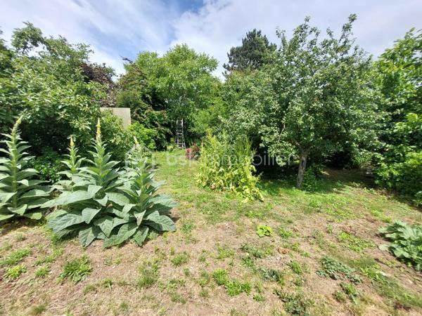 Découvrez cette maison indépendante de 126 m2 situé à Cauffry (60290), offrant un fort potentiel, idéale pour un projet familial ou un investissement.
Implantée sur un beau terrain clos et arboré de 1 225 m2 avec terrasse couverte, exposée est / ouest, cette propriété bénéficie d’un environnement agréable et de nombreuses possibilités d’aménagements extérieurs.
La maison se compose d’un sous-sol total comprenant, un garage pour stationner deux véhicules ainsi que plusieurs espaces annexes : atelier, chaufferie, cave et pièces de stockage, parfaits pour les amateurs de bricolage ou pour optimiser le rangement.

Vivable de plain-pied, elle dispose au rez-de-chaussée d’un salon double avec cheminée feu de bois parfait pour vos soirées d’hiver avec un accès donnant sur la terrasse, d’une cuisine indépendante avec cellier, un couloir qui dessert trois chambres, une salle d’eau, un WC indépendant et une pièce pouvant servir de rangement.
À l’étage, un palier dessert une chambre spacieuse, une salle d’eau avec WC et une grande pièce sous comble à aménager.

La maison est équipée de volets roulants électriques, d’un chauffage central au fuel, le terrain est agrémenté de plusieurs arbres fruitiers, d'un espace potager et de plusieurs places de stationnements.
Des travaux sont à prévoir, mais ils représentent une belle opportunité de révéler tout le charme de cette maison et de la façonner à votre image.

Taxe foncière : 1 577 euros / an.

Idéale pour une famille à la recherche d’espace et de tranquillité ! Tout en étant proches des commodités et à seulement 40 minutes de l’aéroport CDG ! 
Pour plus d’informations ou pour organiser une visite, contactez-moi vite !!