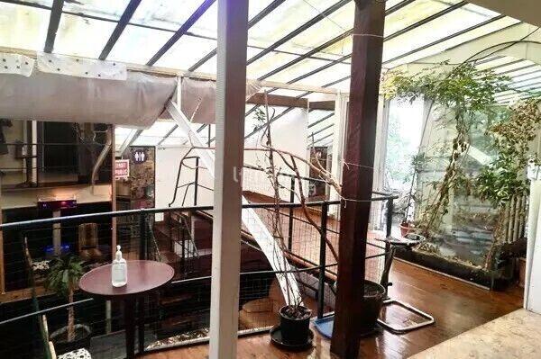 Superbe Loft en triplex pour local professionnel