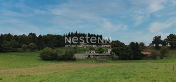 A 30 min d'Aurillac, secteur Maurs, à vendre Maison en pierre à rénover avec four à pain et dépendances sur 5000 m² de terrain.