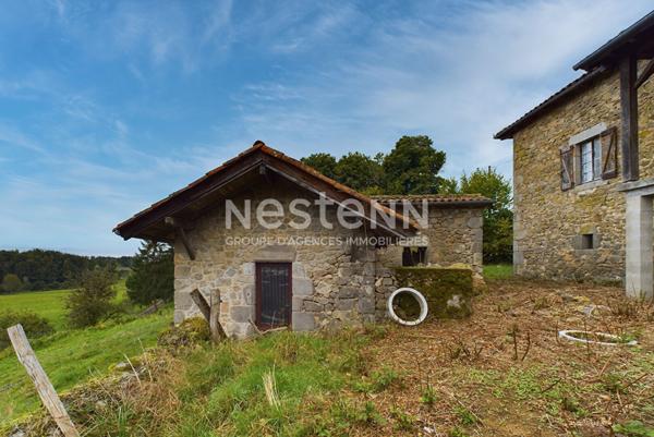 A 30 min d'Aurillac, secteur Maurs, à vendre Maison en pierre à rénover avec four à pain et dépendances sur 5000 m² de terrain.