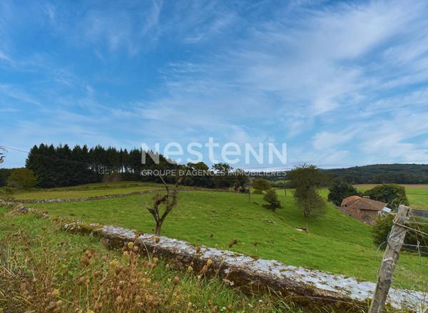 A 30 min d'Aurillac, secteur Maurs, à vendre Maison en pierre à rénover avec four à pain et dépendances sur 5000 m² de terrain.
