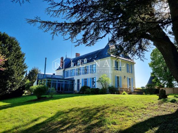 Château restauré avec ses gîtes à 2h30 de Paris entre Touraine et Sologne