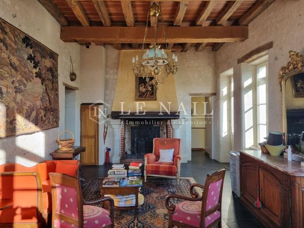 Château restauré avec ses gîtes à 2h30 de Paris entre Touraine et Sologne