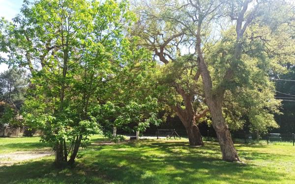 Maison à louer    3 pièces •  Magescq