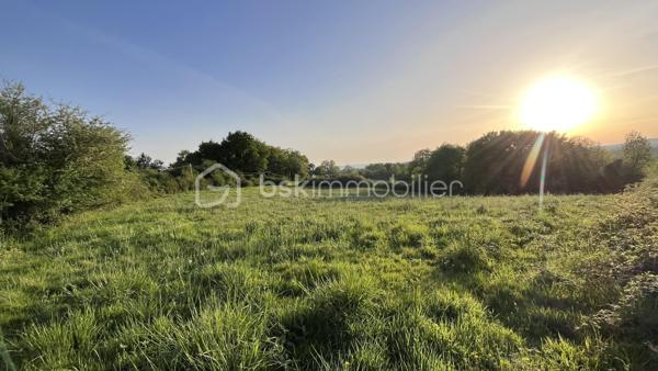 Terrain de 6 600 m²