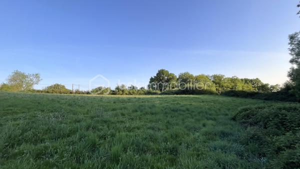 Terrain de 6 600 m²